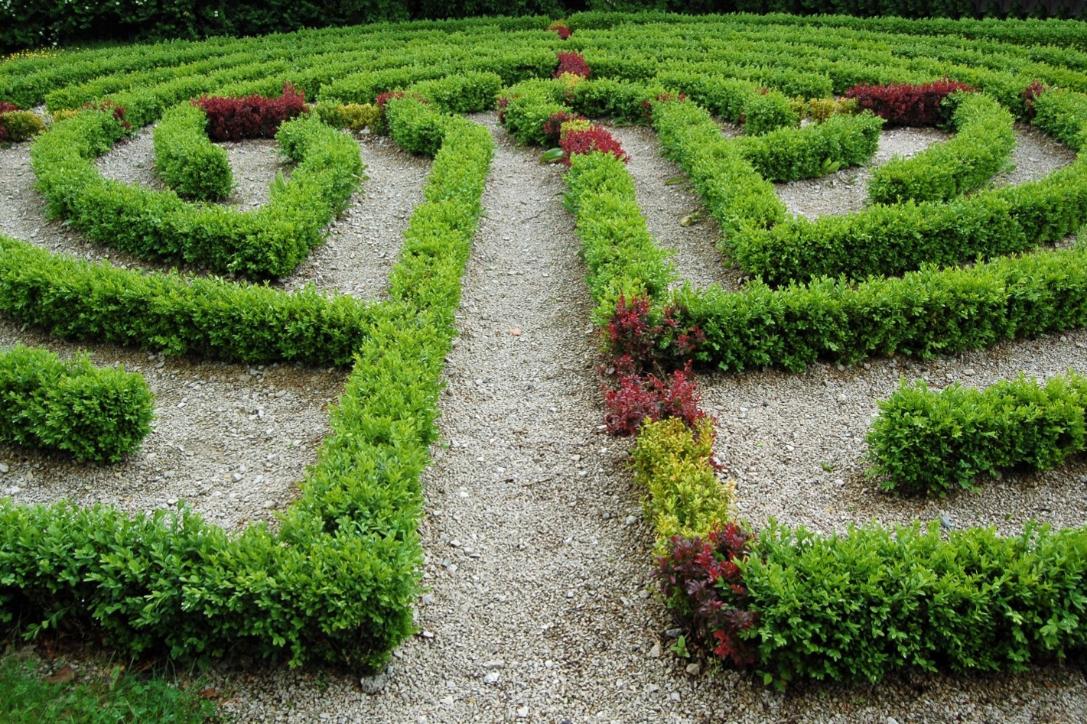 Labyrinth Gebüsch