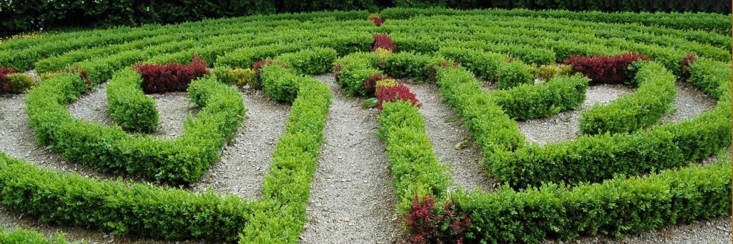 Labyrinth Gebüsch
