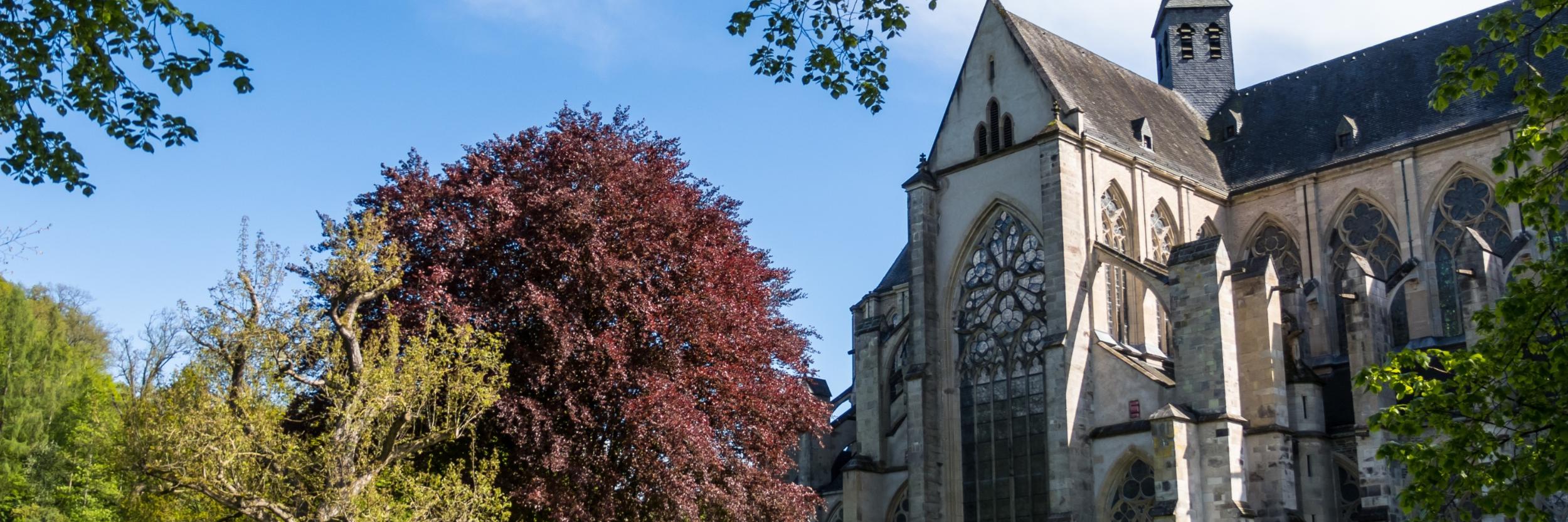 Schritte zum Dom - Wege zu mir